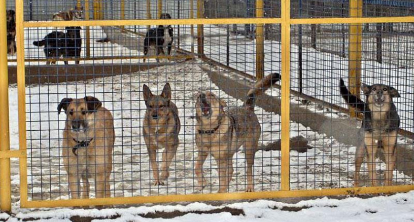 Обокрали бездомных