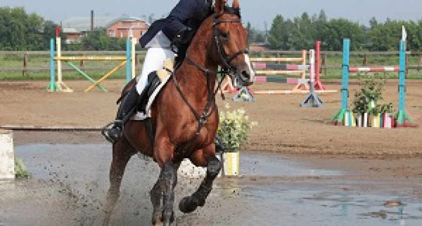 Чемпионат по адаптивному конному спорту пройдет в Иркутской области
