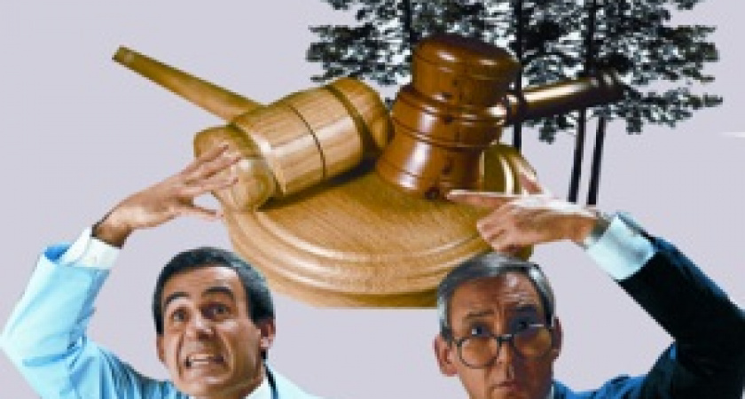 В получении взятки подозревается начальник отдела агентства лесного хозяйства в Усолье-Сибирском 