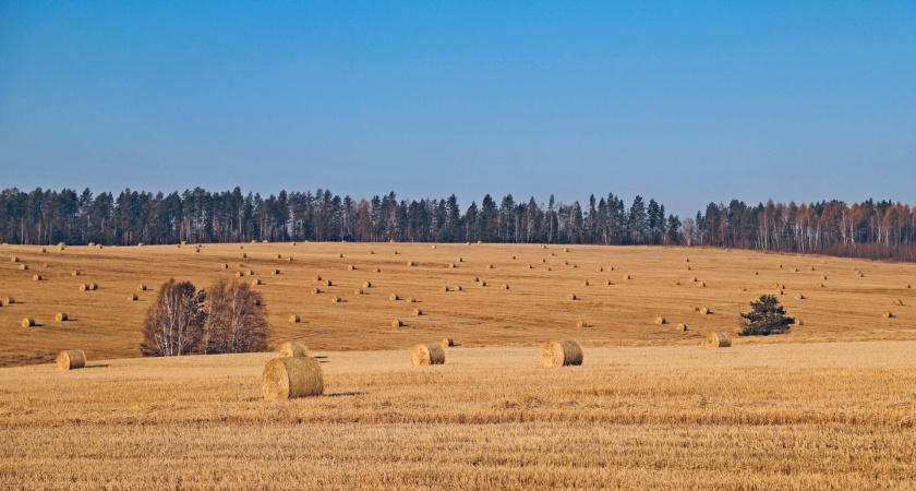 Сельскохозяйственные предприятия Усольского района завершили уборочную кампанию 2021 года