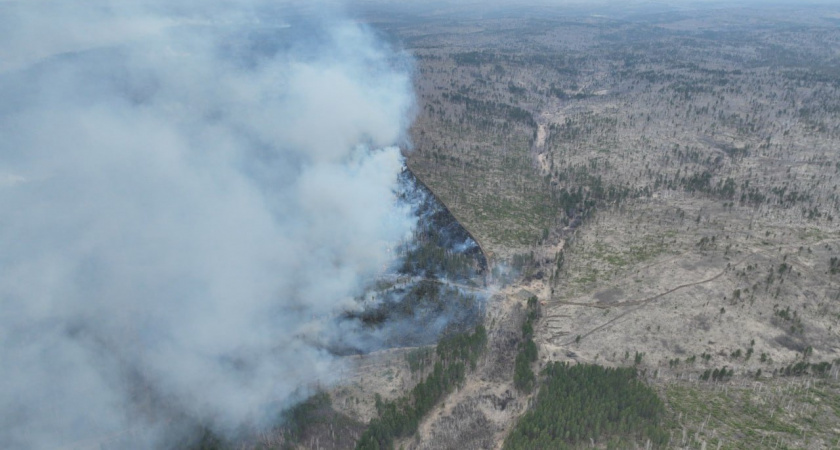 Иркутская область получит дополнительные средства на борьбу с лесными пожарами