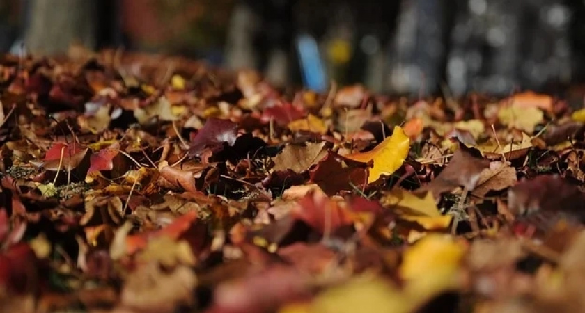 Сентябрь 2021 года станет самым холодным в России с начала века