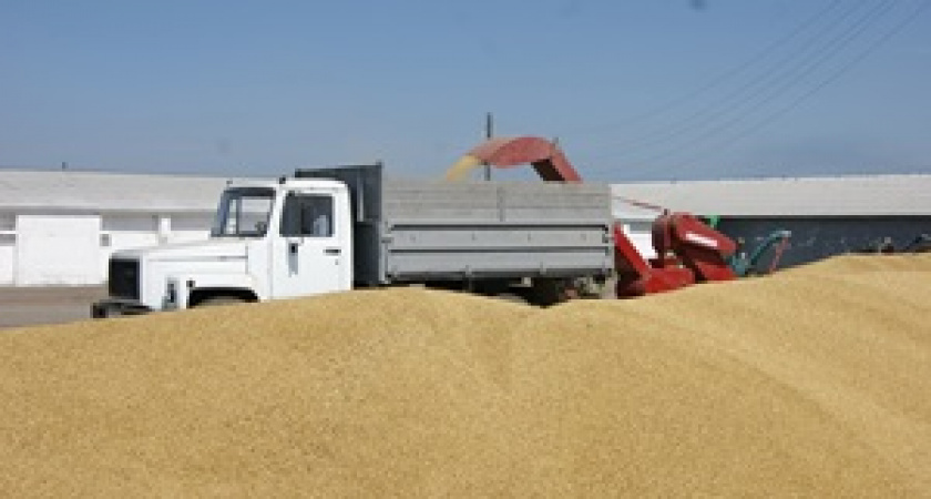 Уборочная страда началась