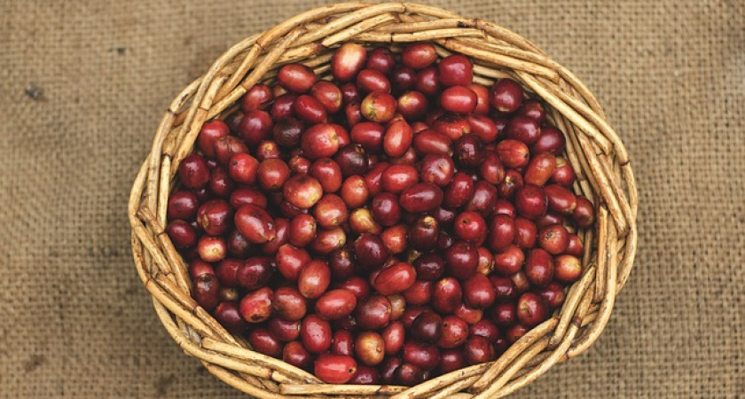 Названы продукты, опасные для пенсионеров