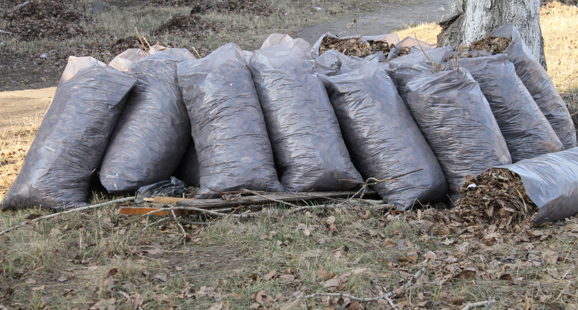                          Сегодня общегородской субботник