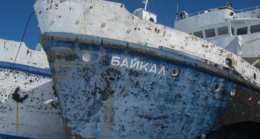 Байкальский диктант привлек внимание не только жителей Иркутска
