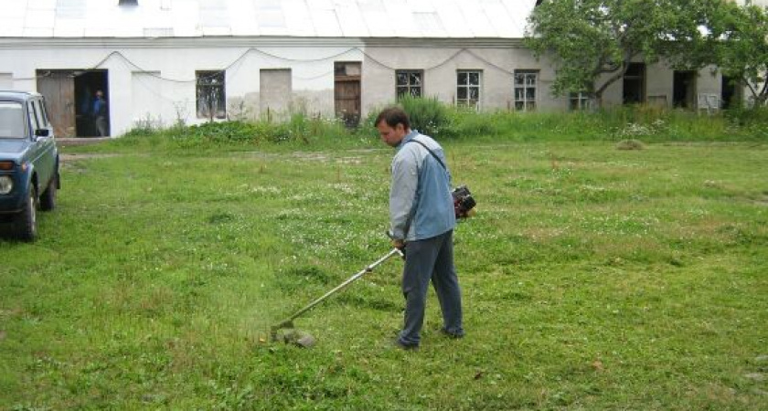 Сезон покосов начался 