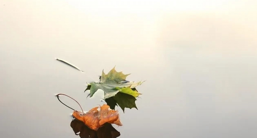 Предупреждение о неблагоприятных метеорологических явлениях погоды на 8 октября