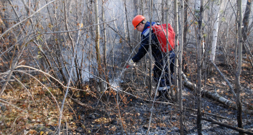 На минувших выходных в Приангарье ликвидирован единственный лесной пожар