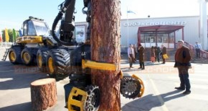 Выставка «Сиблесопользование» открылась в Иркутске