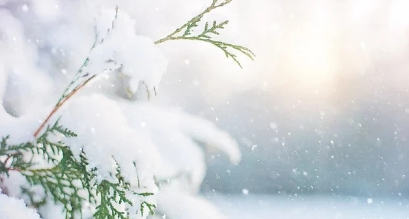 Домочадцев день: что нужно и нельзя делать 10 января