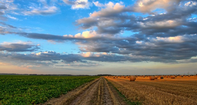 Президент России высоко оценил урожай в 2021 году