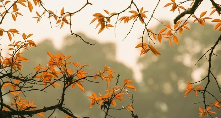 Теплые выходные дни ожидаются в Усолье-Сибирском 