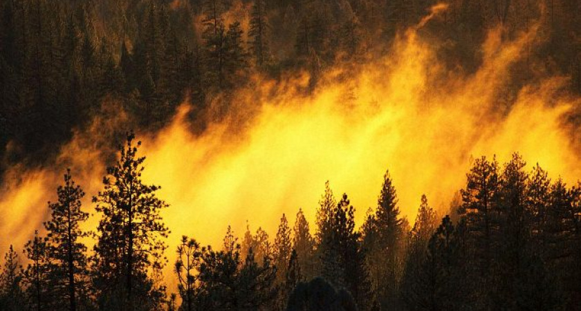 Штрафы за нарушение правил пожарной безопасности в Приангарье увеличили вдвое 