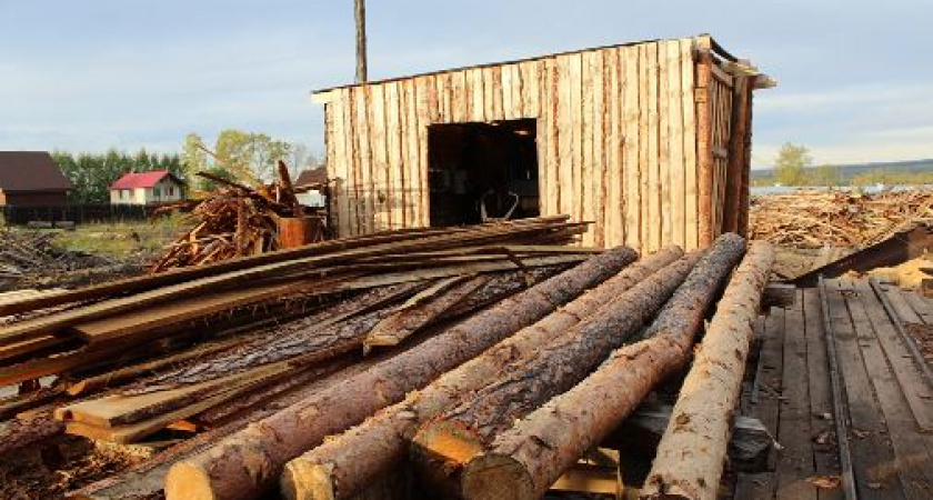 В Иркутской области увеличились налоговые сборы за использование лесных ресурсов