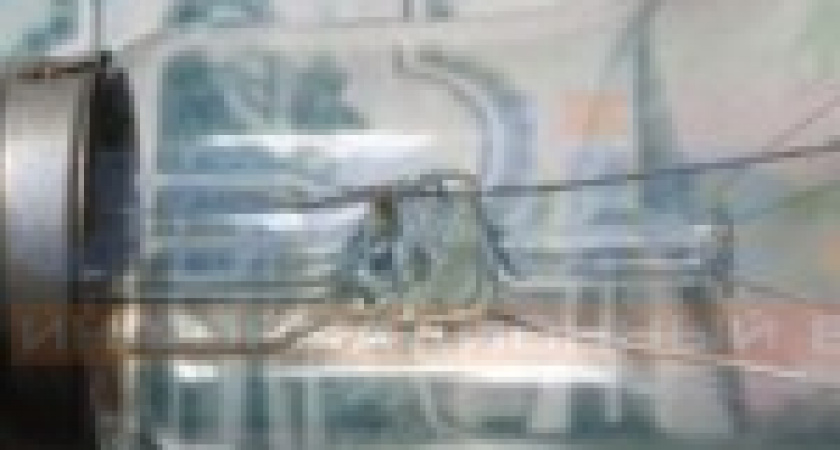 В Иркутской области все чаще предприятия ЖКХ банкротятся, чтобы не платить долги за электричество