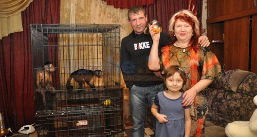 Фото к статье: Обезьянку стоимостью 150 тысяч рублей украли в Ангарске