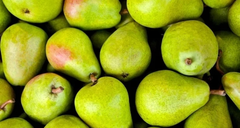 Россиян предупредили об опасности груш
