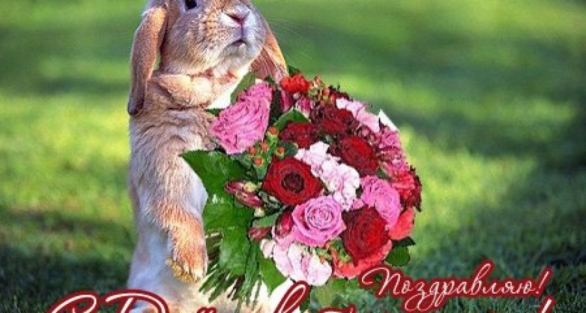 Уважаемые ветеринарные работники!