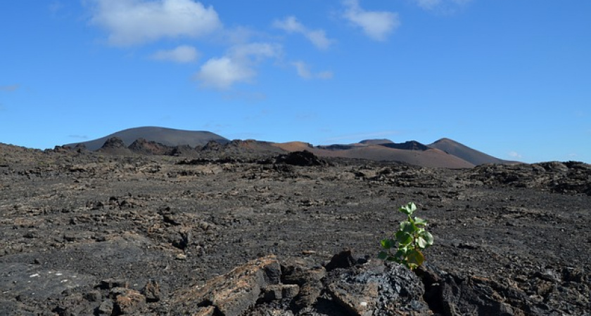 Кандидат в президенты Южной Кореи хочет взять в аренду половину Дальнего Востока