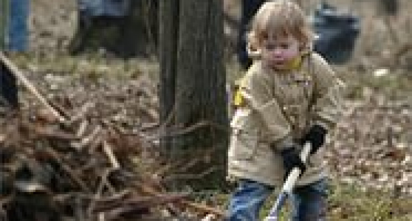 ЗЕЛЕНАЯ РОССИЯ