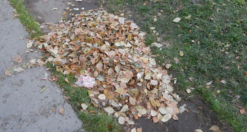 В выходные в Иркутской области будет подходящая для копки картошки и голосования погода
