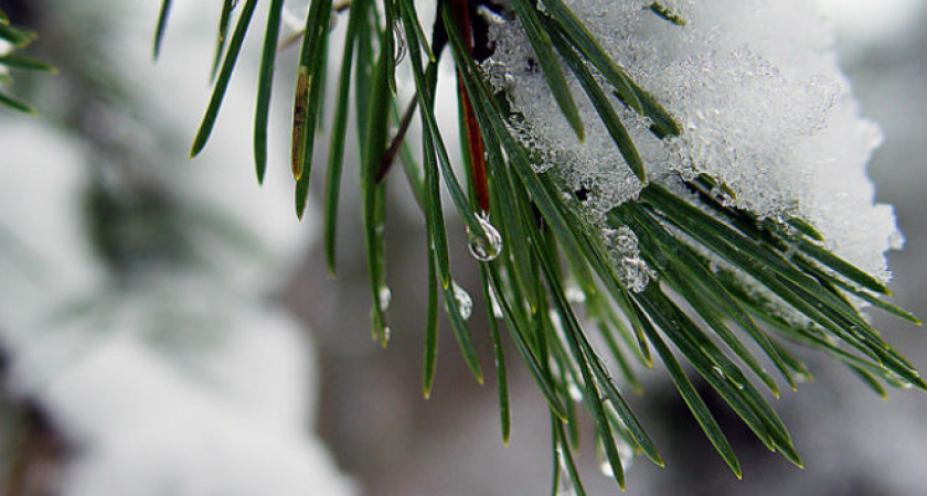 Синоптики прогнозируют оттепель на территории Приангарья 16 декабря 