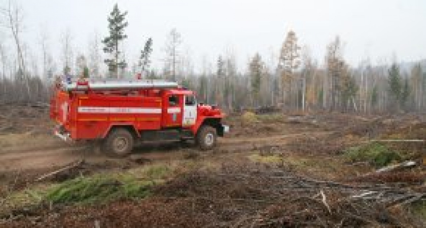 В Иркутской области установлен особый противопожарный режим