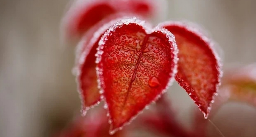 День Анны Холодной: народные поверья и запреты на 16 ноября