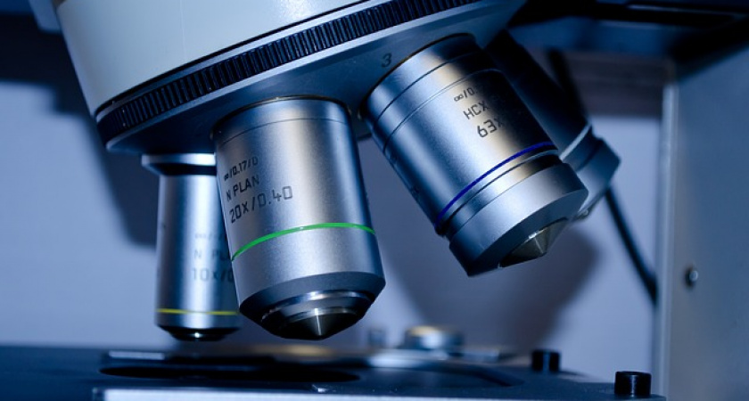 Pfizer проведет в России клинические испытания нового лекарства от COVID