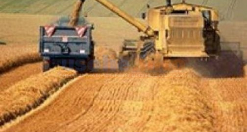 338 млн долгов аграриев Приангарья  подверглись рестркутуризации