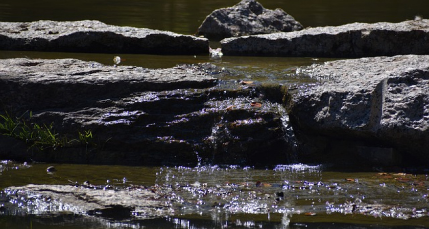 Суд поддержал требование Росприроднадзора о взыскании с СХПК «Усольский свинокомплекс» более 2,7 млн. рублей
