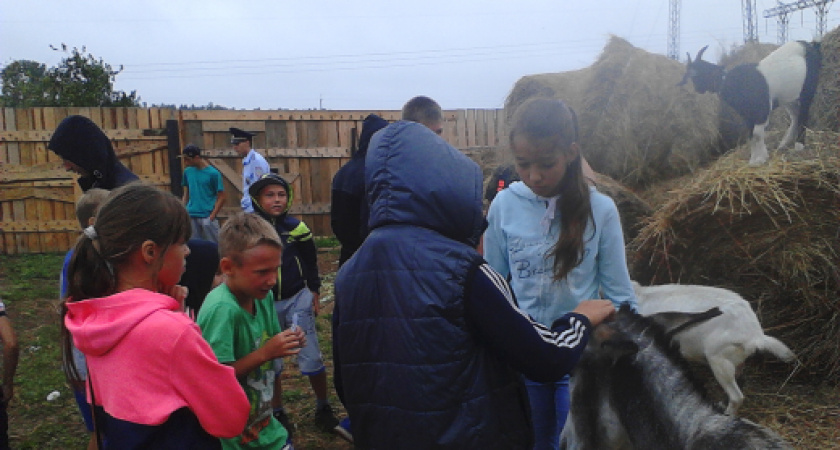 Каникулы с пользой