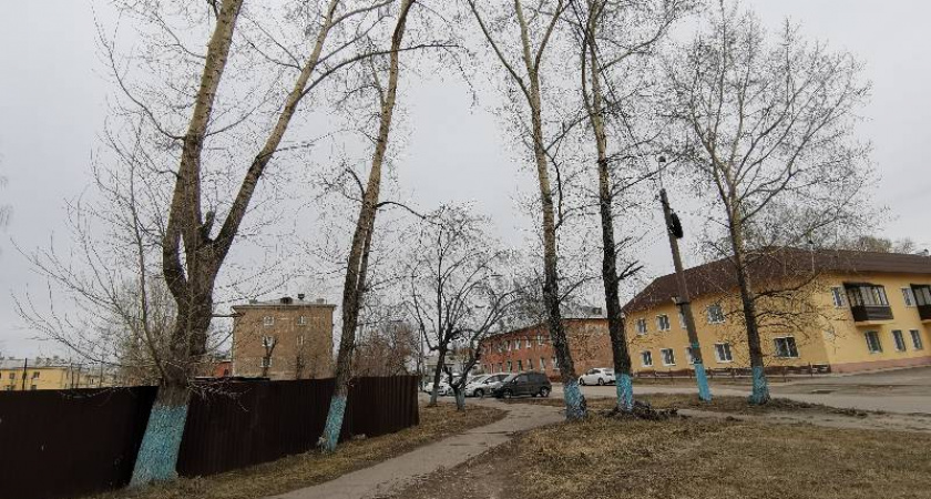 В Усолье-Сибирском и Усольском районе за выходные дни сотрудники ГИБДД задержали 12 нетрезвых водителей