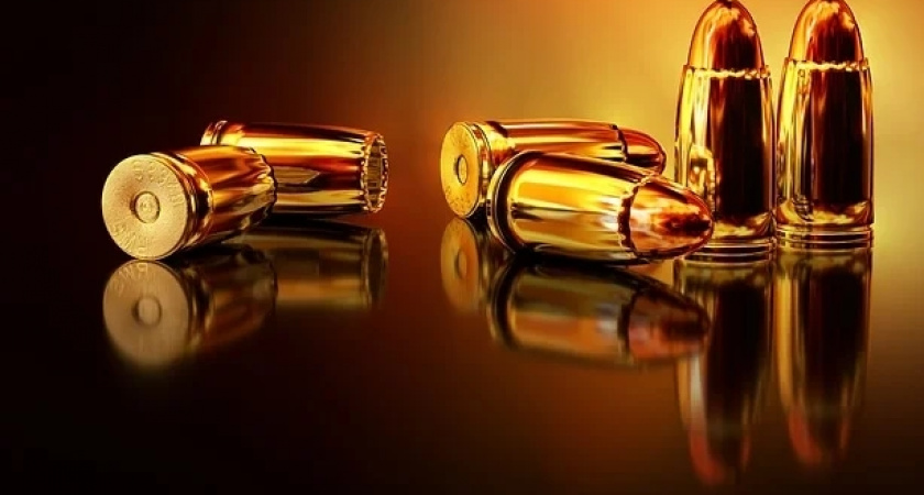 В России предотвратили несколько нападений на школы