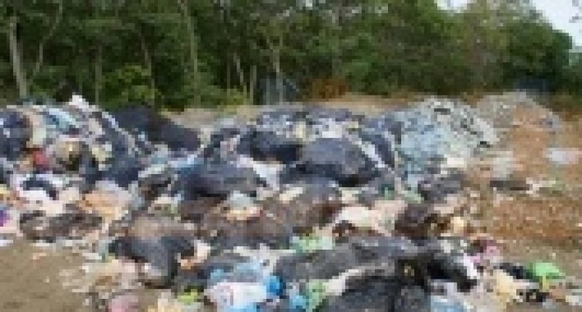 Фото к статье: За организацию свалки у пос. Тайтурка на 40 тысяч оштрафована компания в Иркутской области