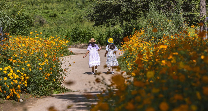 Оформление путёвок в детские лагеря Иркутской области через Госуслуги