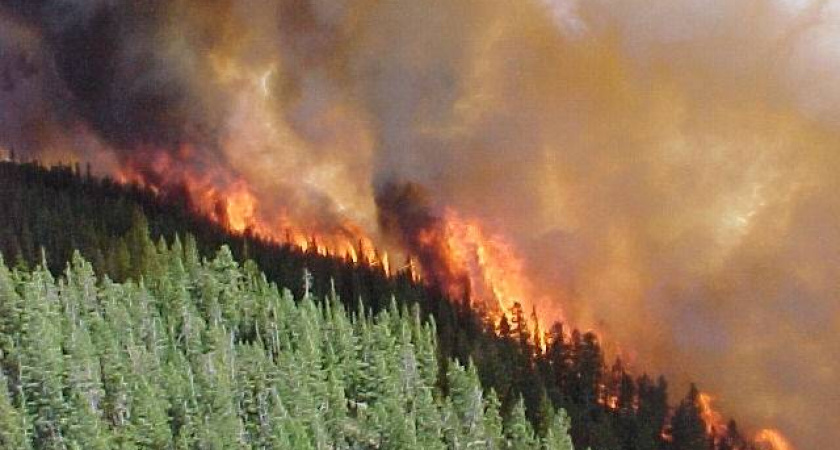 В Иркутской области тайга горит на площади больше 8 тысяч гектаров
