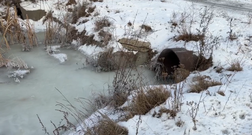 Проблемная  Шелестиха