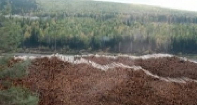 Расставили приоритеты