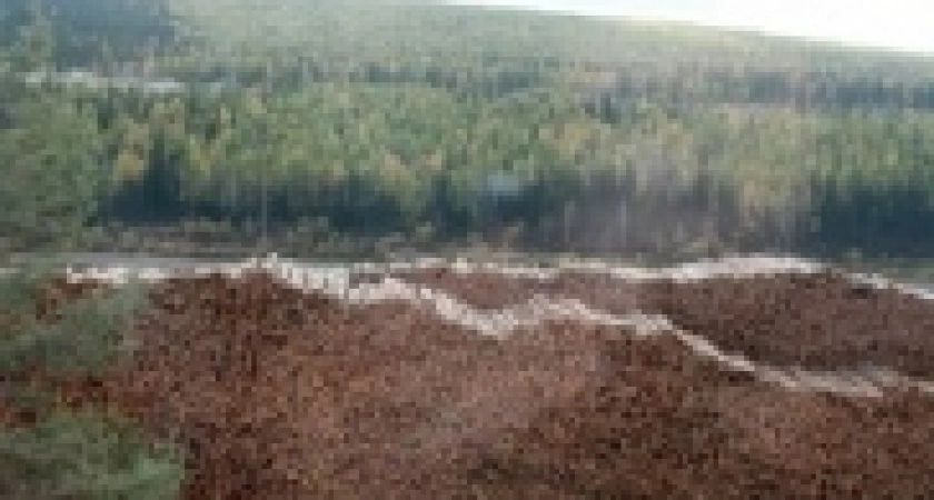Фото к статье: Расставили приоритеты