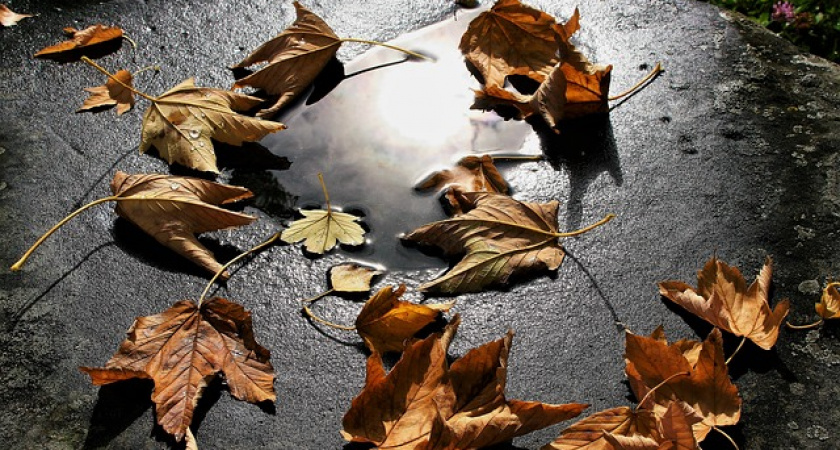 В Иркутской области 9 октября ожидается усиление ветра до 15-20 м/с.