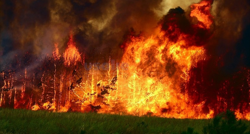 В Тайшете горела пилорама. Не исключается поджог