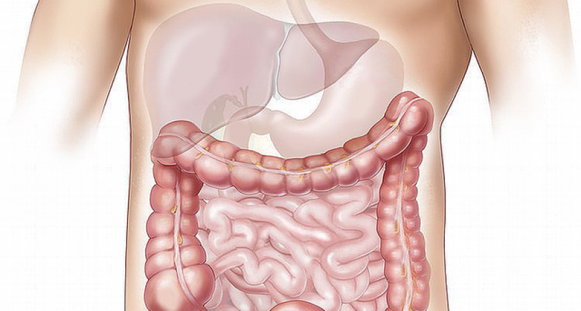 Терапевт назвал 3 отравляющих организм продукта