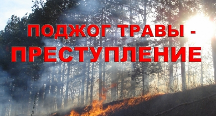 Особый противопожарный режим: сжигание мусора и сухой растительности запрещено!