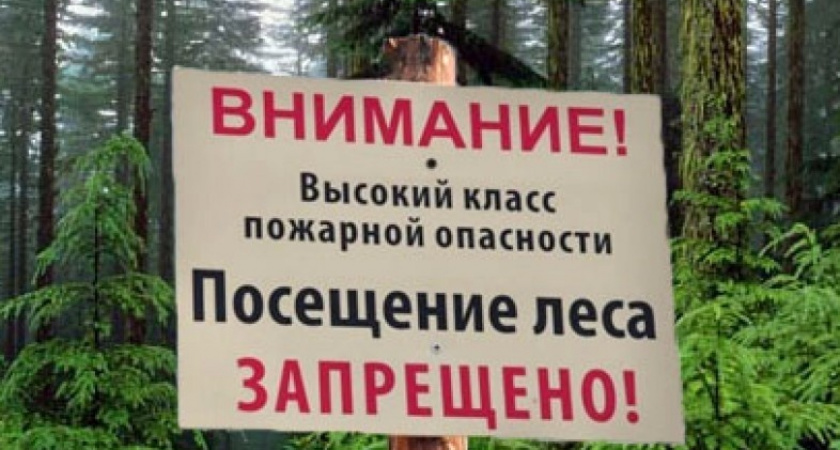 Высокие классы пожарной опасности в лесах прогнозируются на большей части Иркутской области до 2 сентября