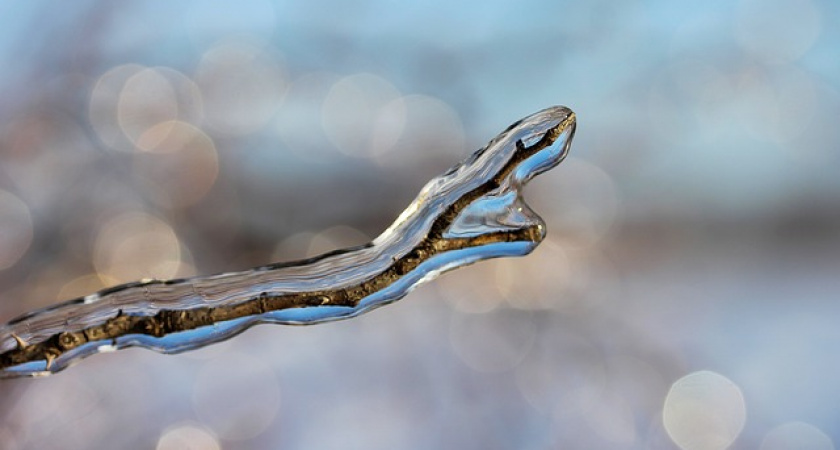 Дождь, мокрый снег, усиление ветра ожидается в ряде районов Иркутской области 25 сентября