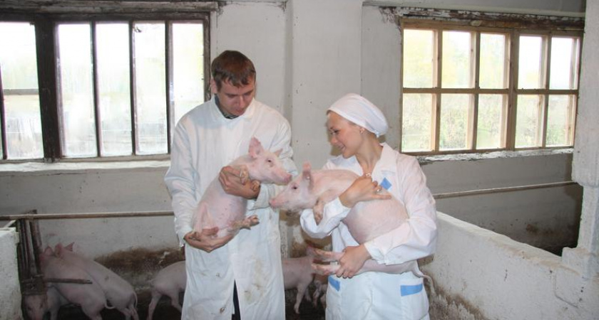 В Приангарье готовы платить 160 тысяч рублей "подъемных" молодым сельским специалистам