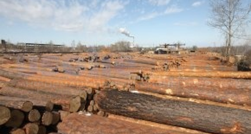 Иркутские власти поддержат лесников госпрограммой