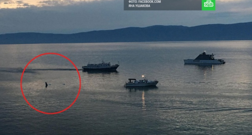 Двое из четырёх человек на борту упавшего самолёта у Ольхона на Байкале были пьяны – СМИ